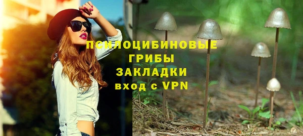 mdpv Арсеньев